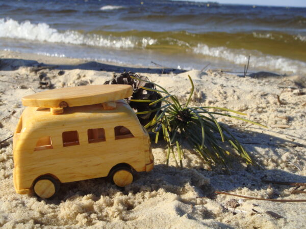 Combi Surf en pin maritime – Image 2