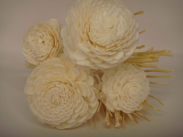 Diffuseur fleurs en bois de Sola – Image 10