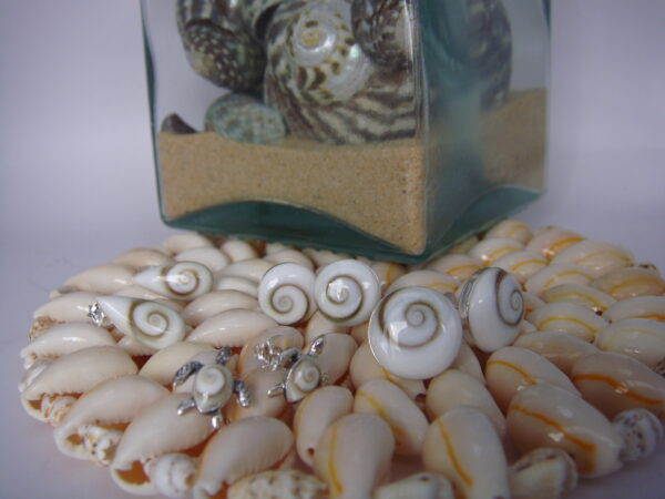 Boucles d'oreilles Oeil de Sainte Lucie, Argent 925, puces tortues – Image 2