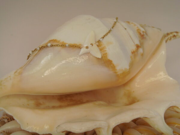 Collier fin acier & dent de requin, réglable chaînette – Image 4
